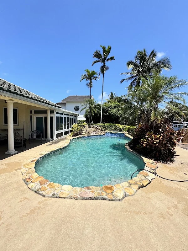 Clear backyard pool bordered by stone and palm trees